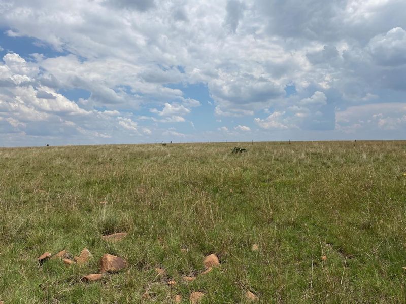 Vacant Land For Sale in Villiers, Frankfort - Photo 6