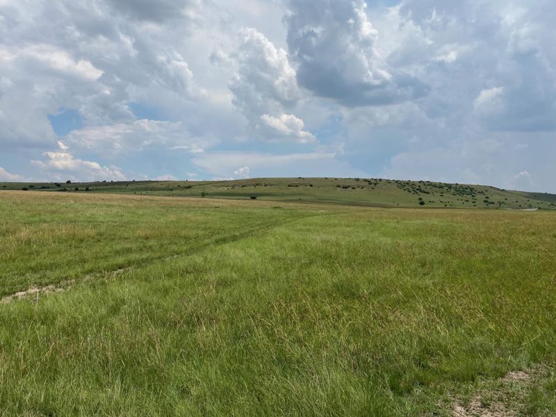 Vacant Land For Sale in Villiers, Frankfort - Photo 5