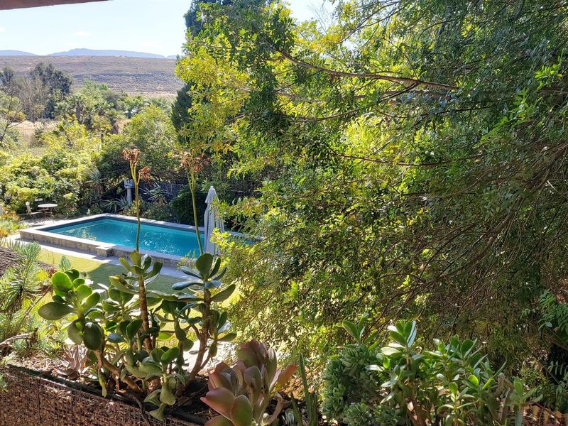 Guest House in the heart of Clanwilliam - Photo 5