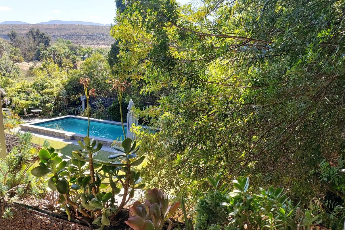 Guest House in the heart of Clanwilliam - Photo 5
