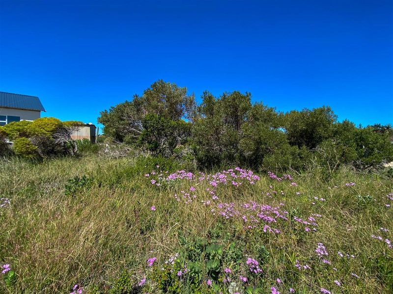 Betty’s Bay Land for Sale-Space to Build, Views to Keep, Lifestyle to Live! - Photo 8