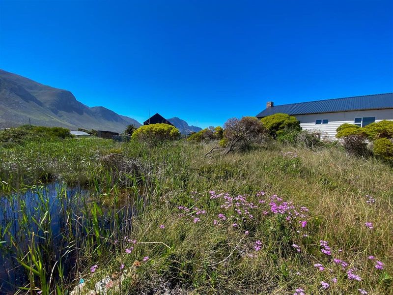 Betty’s Bay Land for Sale-Space to Build, Views to Keep, Lifestyle to Live! - Photo 10