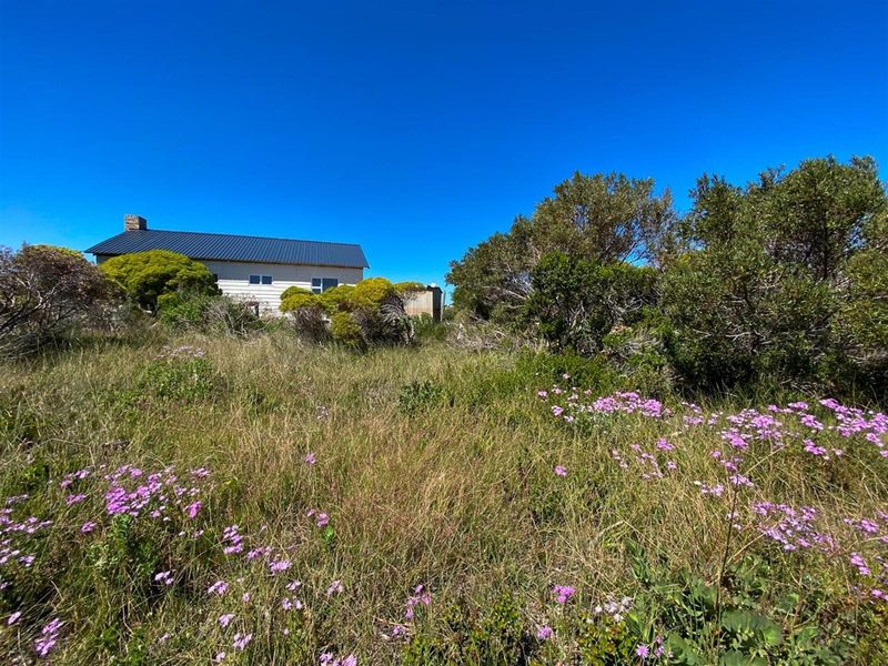 Betty’s Bay Land for Sale-Space to Build, Views to Keep, Lifestyle to Live! - Photo 9