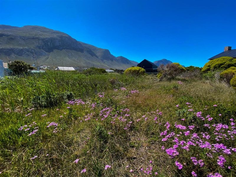 Betty’s Bay Land for Sale-Space to Build, Views to Keep, Lifestyle to Live! - Photo 7