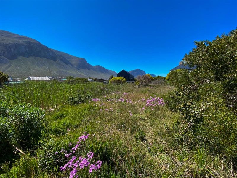 Betty’s Bay Land for Sale-Space to Build, Views to Keep, Lifestyle to Live! - Photo 2