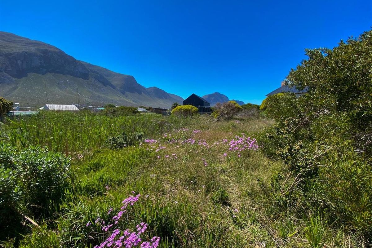 Betty’s Bay Land for Sale-Space to Build, Views to Keep, Lifestyle to Live! - Photo 2