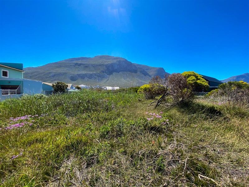 Betty’s Bay Land for Sale-Space to Build, Views to Keep, Lifestyle to Live! - Photo 5