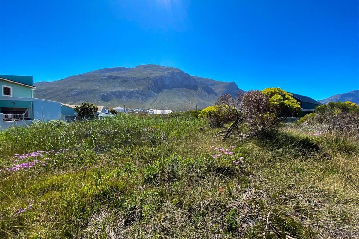 Betty’s Bay Land for Sale-Space to Build, Views to Keep, Lifestyle to Live! - Photo 5