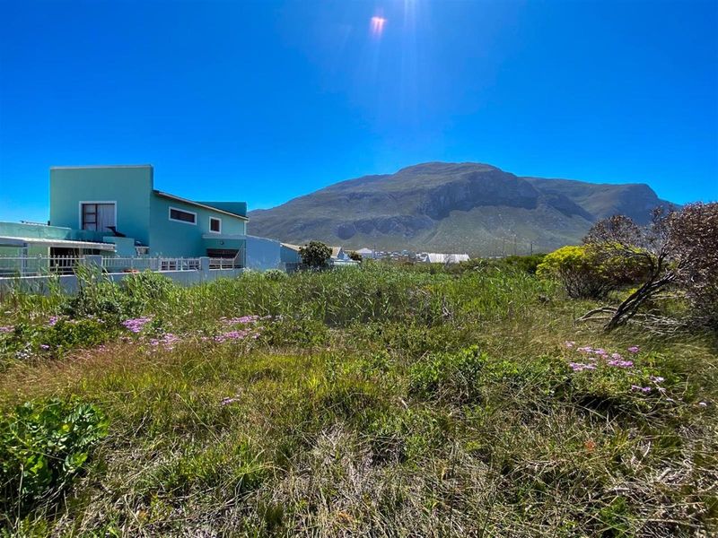 Betty’s Bay Land for Sale-Space to Build, Views to Keep, Lifestyle to Live! - Photo 4