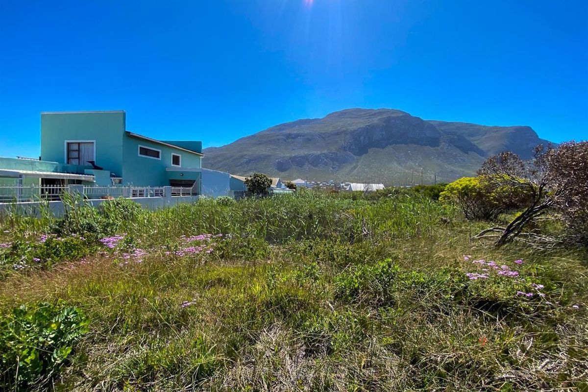 Betty’s Bay Land for Sale-Space to Build, Views to Keep, Lifestyle to Live! - Photo 4