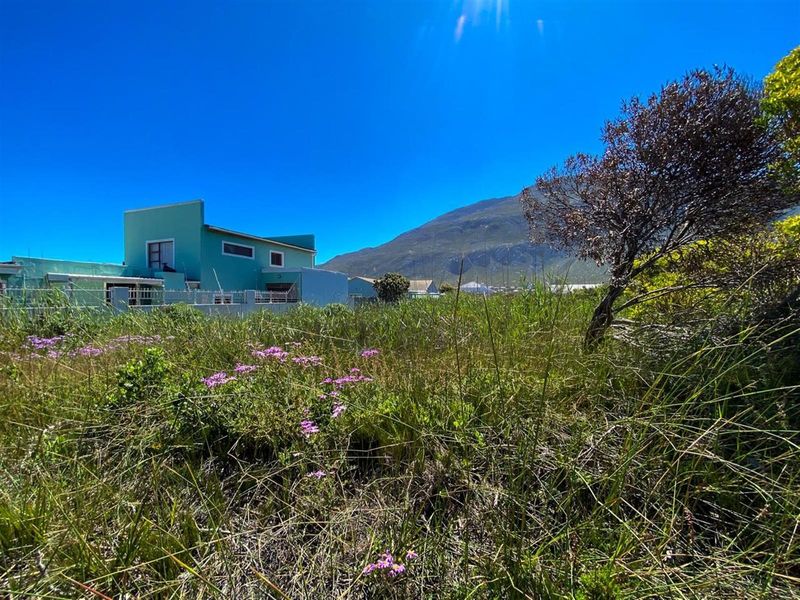 Betty’s Bay Land for Sale-Space to Build, Views to Keep, Lifestyle to Live! - Photo 3