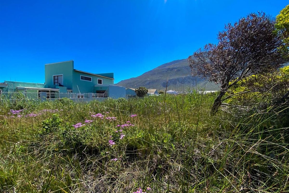 Betty’s Bay Land for Sale-Space to Build, Views to Keep, Lifestyle to Live! - Photo 3