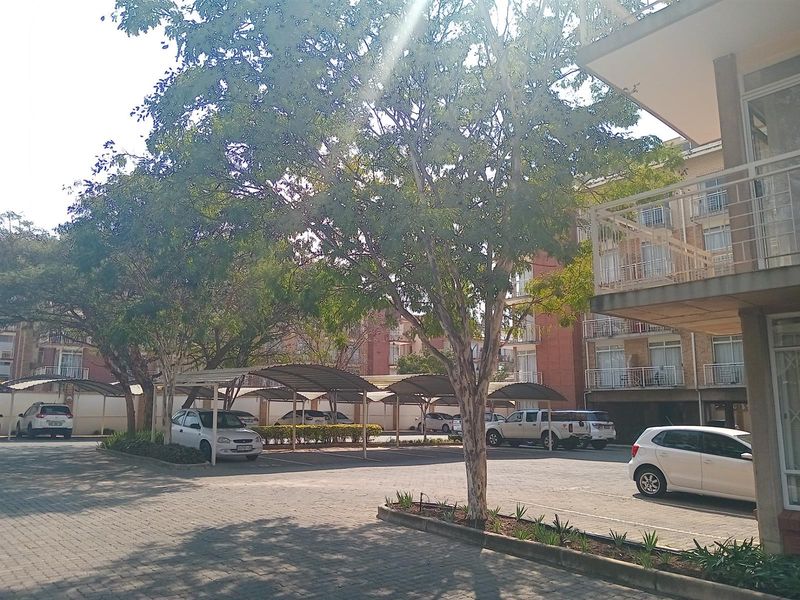 REDUCED PRICE Apartment Available in Hillcrest, Pretoria - Photo 4