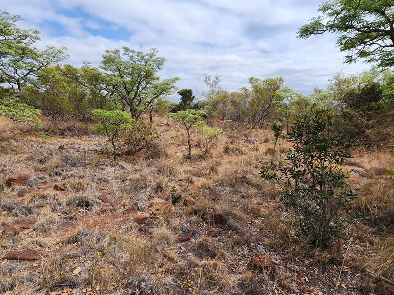 North Facing Vacant Land in Verloren with Spectacular Mountain Views - Photo 6