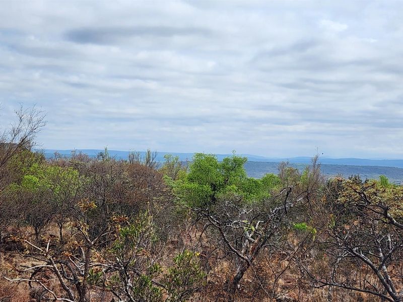 North Facing Vacant Land in Verloren with Spectacular Mountain Views - Photo 2