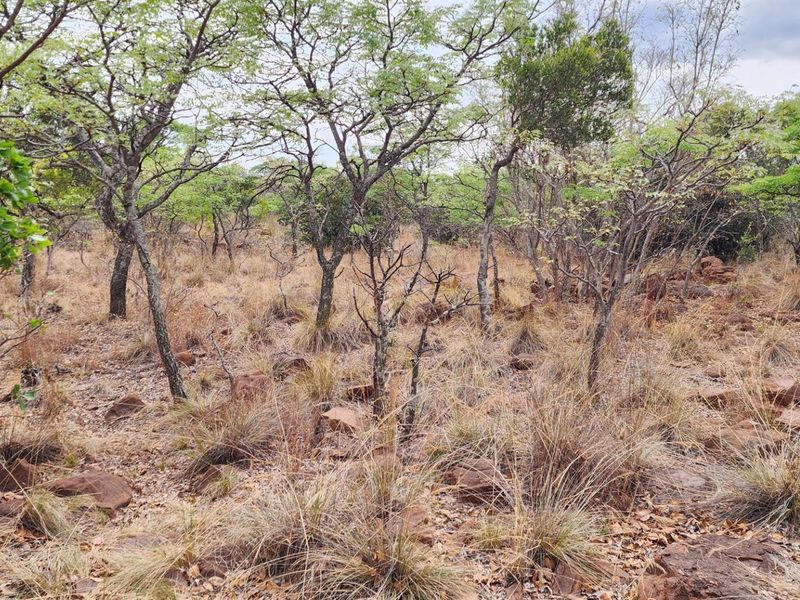 North Facing Vacant Land in Verloren with Spectacular Mountain Views - Photo 3