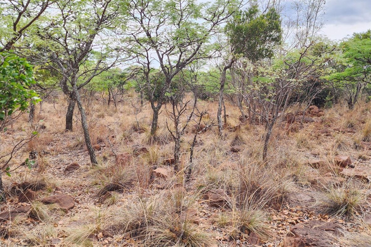 North Facing Vacant Land in Verloren with Spectacular Mountain Views - Photo 3