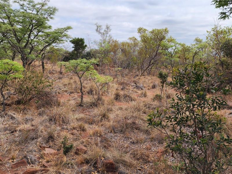 North Facing Vacant Land in Verloren with Spectacular Mountain Views - Photo 5