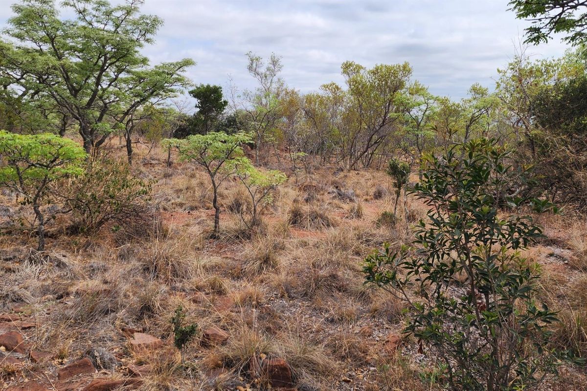 North Facing Vacant Land in Verloren with Spectacular Mountain Views - Photo 5