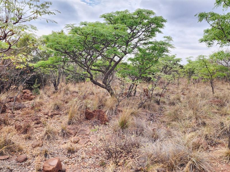 North Facing Vacant Land in Verloren with Spectacular Mountain Views - Photo 4