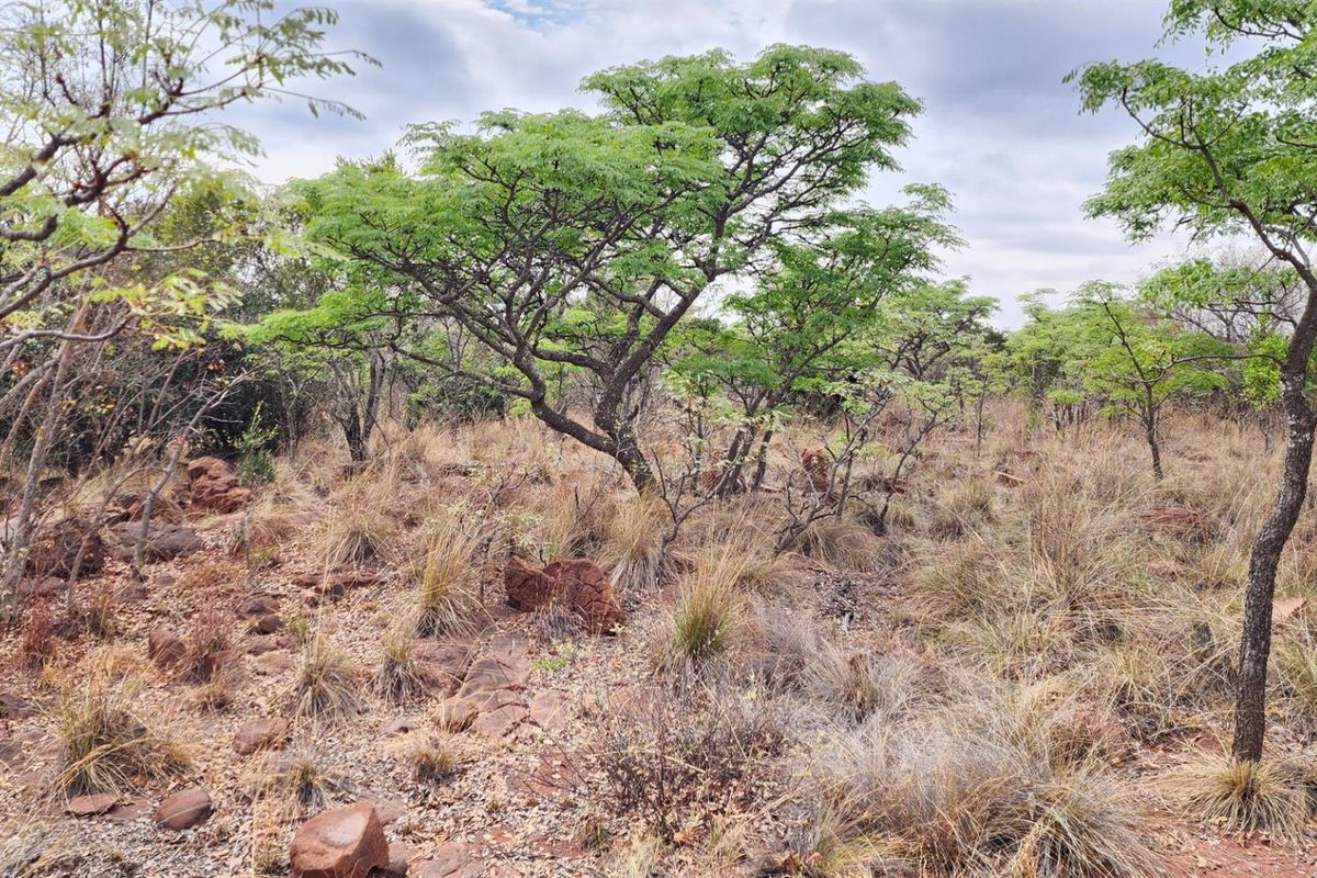 North Facing Vacant Land in Verloren with Spectacular Mountain Views - Photo 4