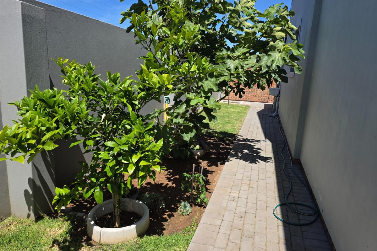 A side garden area featuring a paved walkway, boundary wall, and established trees along the side of the property.