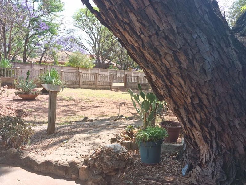 PRICED TO GO FIXER-UPPER WITH GREAT POTENTIAL - Photo 6