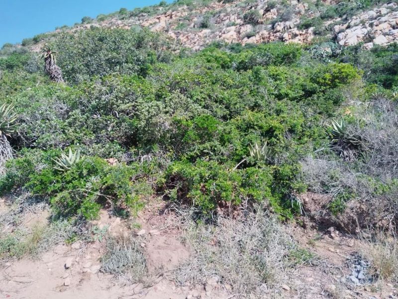 Vacant Land For Sale in Vakansieplaas, Mossel Bay - Photo 6