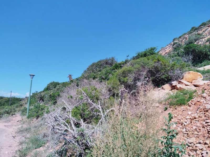 Vacant Land For Sale in Vakansieplaas, Mossel Bay - Photo 3