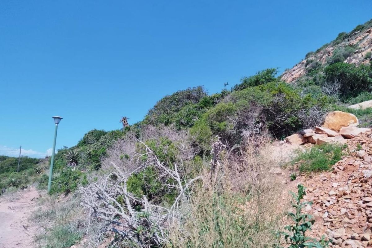 Vacant Land For Sale in Vakansieplaas, Mossel Bay - Photo 3