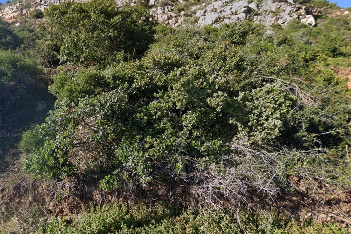 Vacant Land For Sale in Vakansieplaas, Mossel Bay - Photo 4