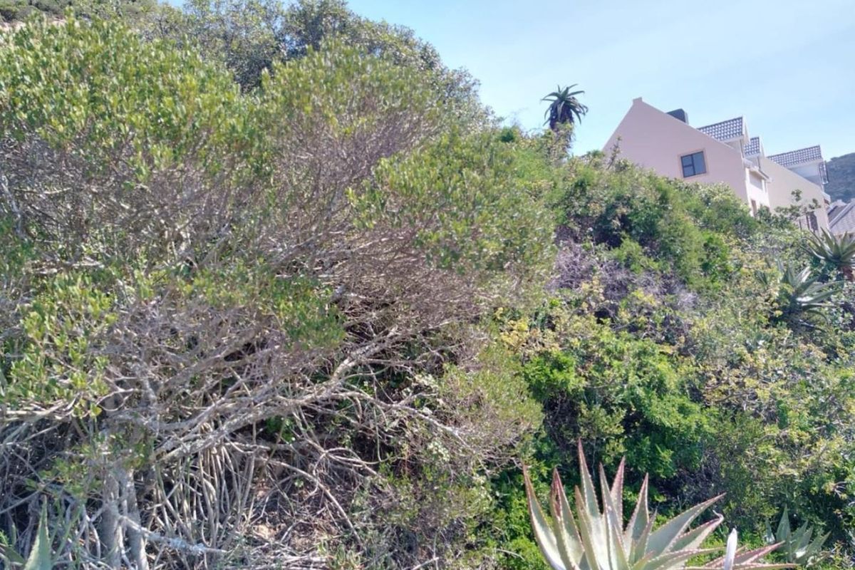 Vacant Land For Sale in Vakansieplaas, Mossel Bay - Photo 2