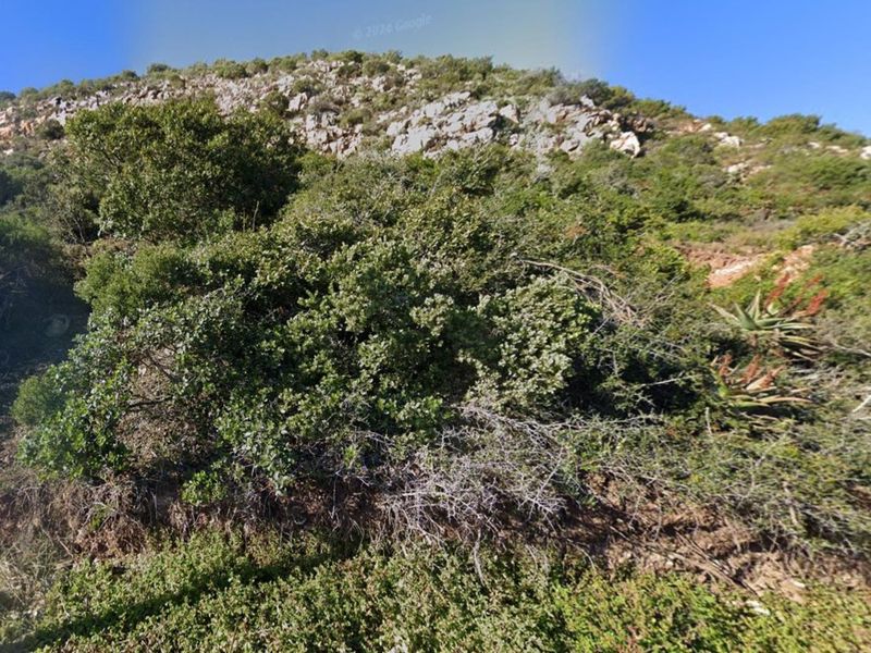 Vacant Land For Sale in Vakansieplaas, Mossel Bay - Photo 5