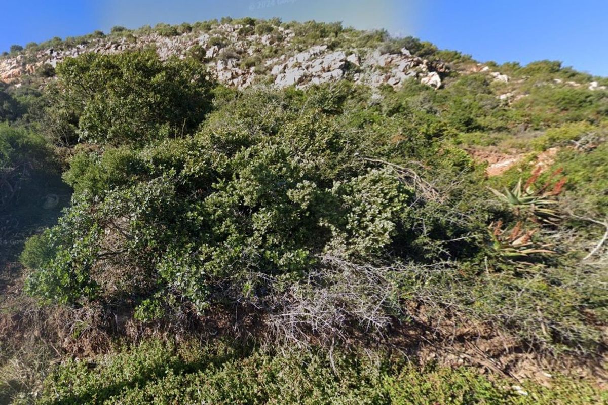 Vacant Land For Sale in Vakansieplaas, Mossel Bay - Photo 5