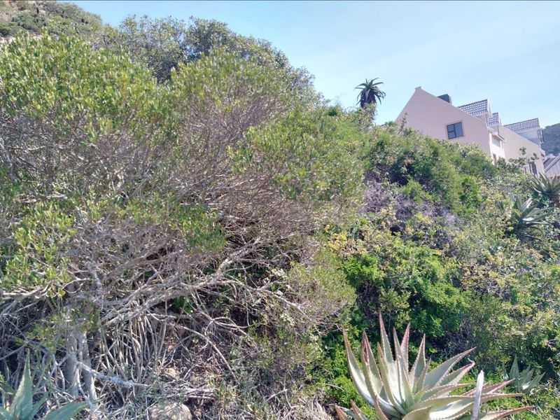 Build Your Dream Home in Vogelsang Estate, Mossel Bay - Photo 9