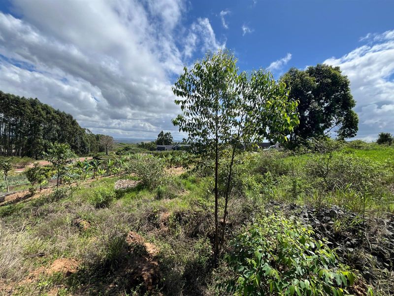 Private location with Orchard view - Photo 9