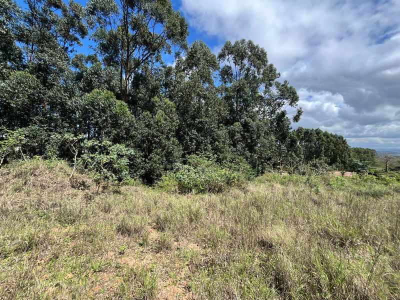 Private location with Orchard view - Photo 4