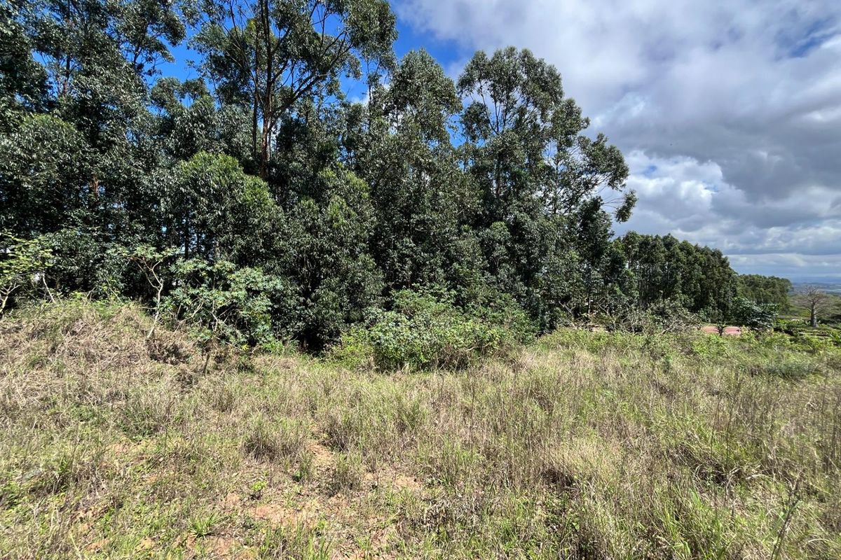 Private location with Orchard view - Photo 4