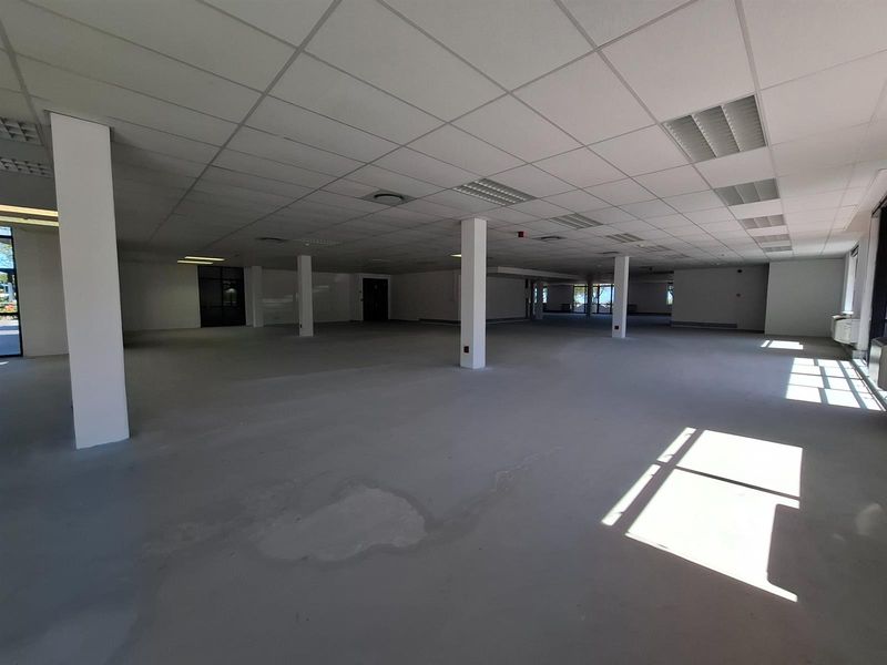 Office Space To Let - Plattekloof Office Park - Photo 6