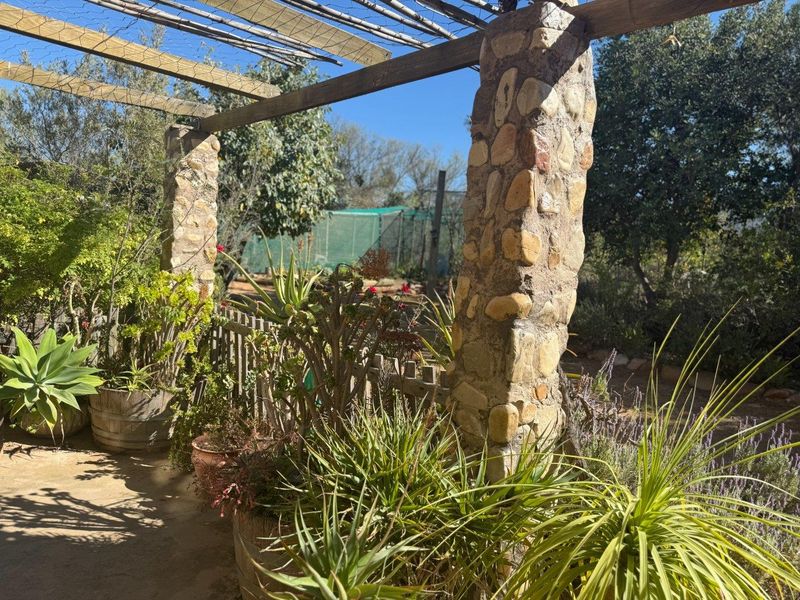 Farm For Sale in Van Wyksdorp, Ladismith - Photo 5