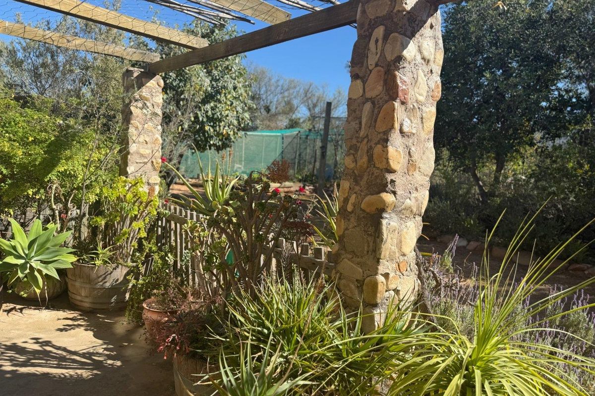 Farm For Sale in Van Wyksdorp, Ladismith - Photo 5