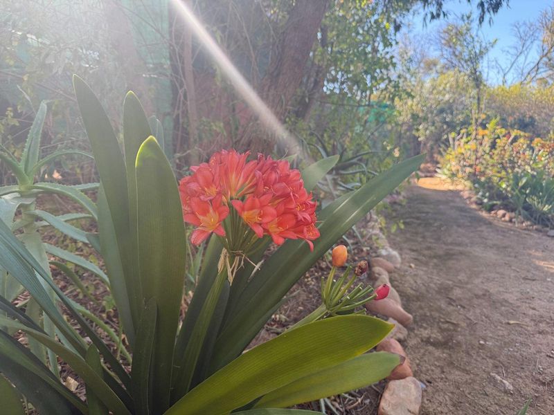 Farm For Sale in Van Wyksdorp, Ladismith - Photo 4