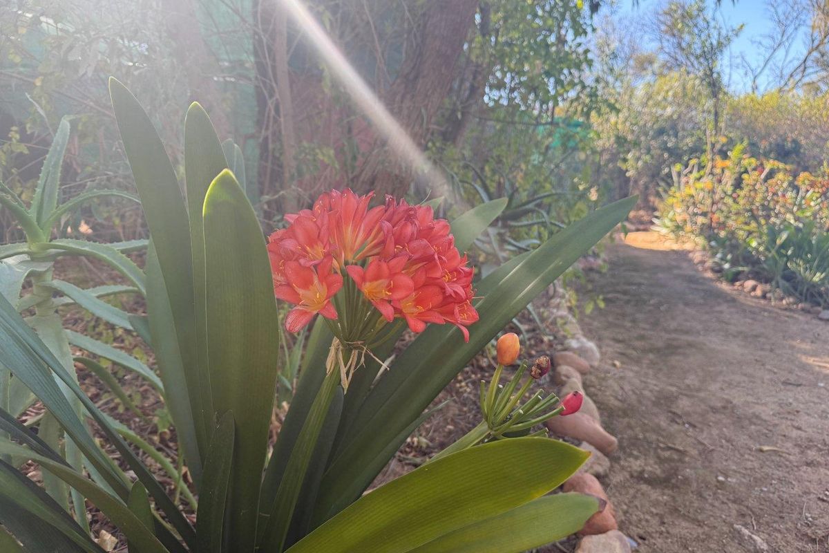 Farm For Sale in Van Wyksdorp, Ladismith - Photo 4