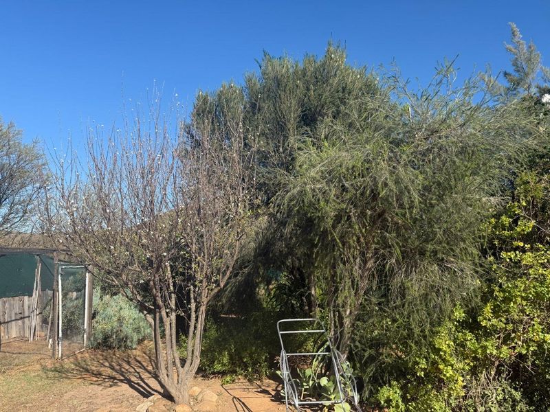 Farm For Sale in Van Wyksdorp, Ladismith - Photo 8