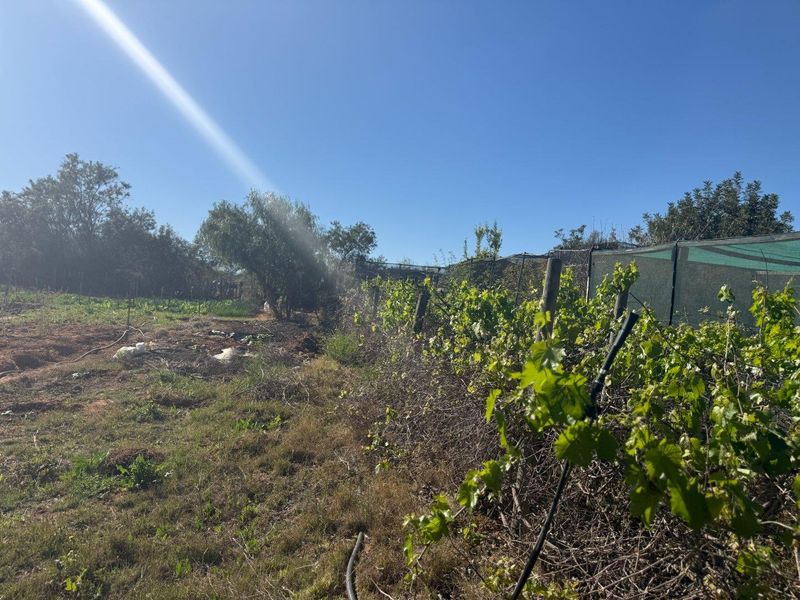 Farm For Sale in Van Wyksdorp, Ladismith - Photo 7