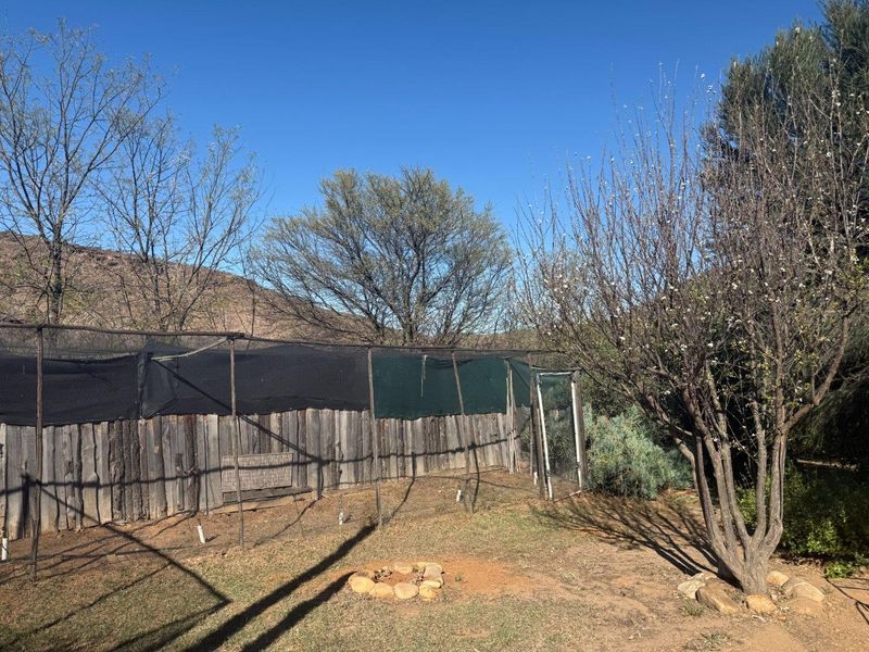 Farm For Sale in Van Wyksdorp, Ladismith - Photo 9