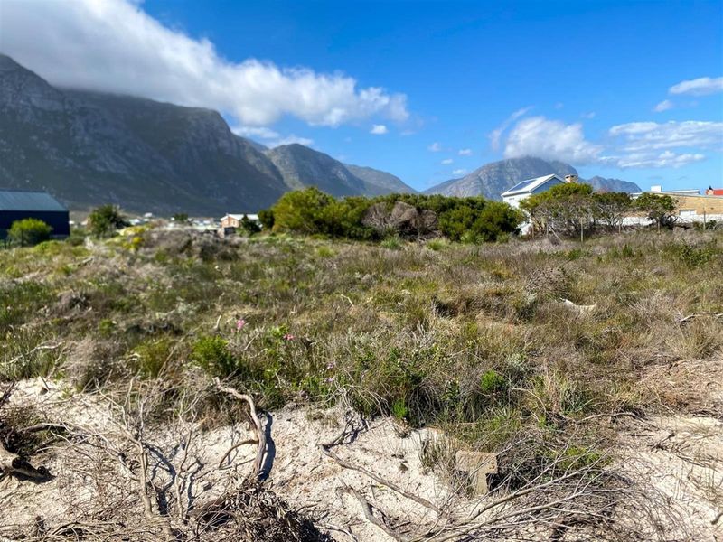 Prime Stand - Ready to Build Your Dream Home in Betty’s Bay - Photo 9