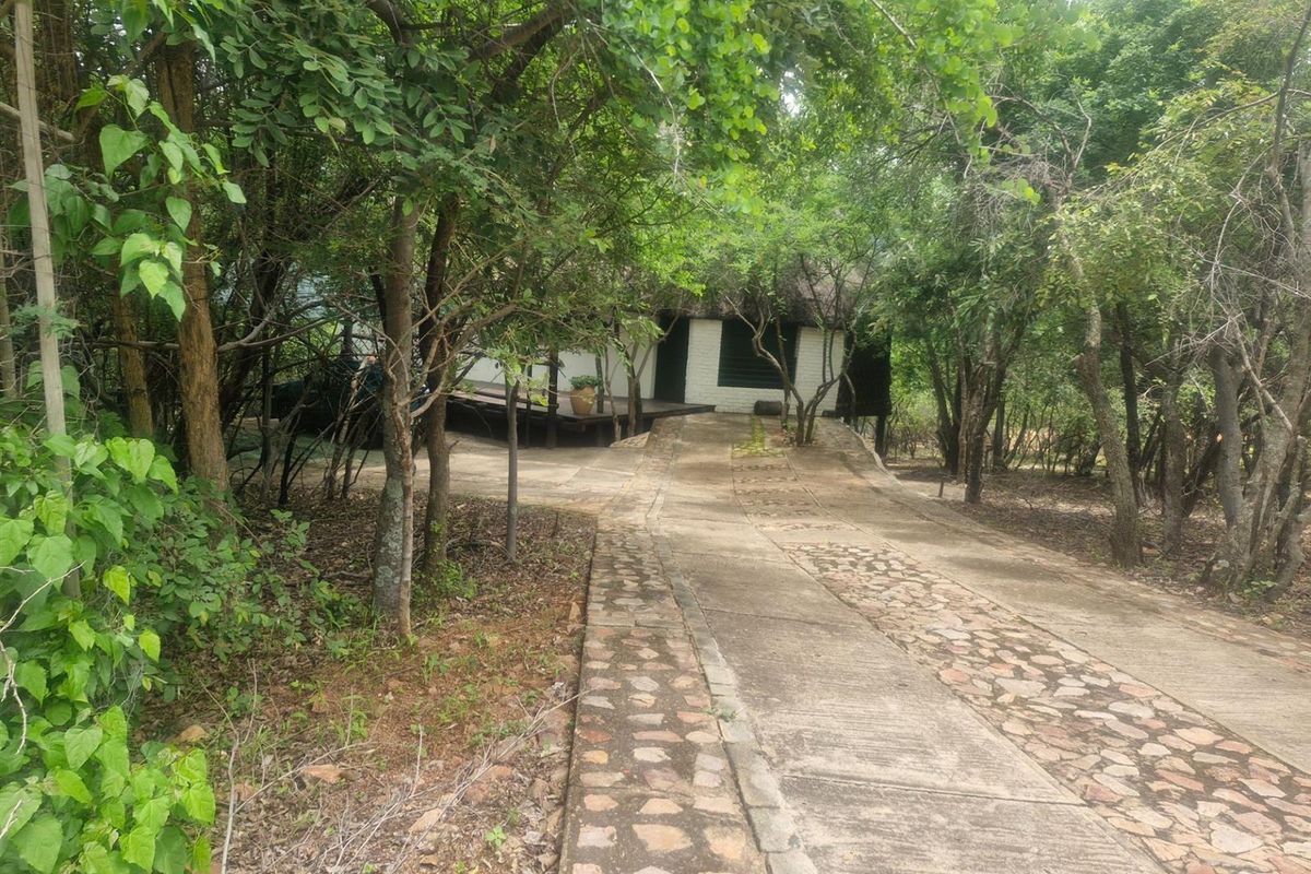 Distinctive Thatch-Home Offering Space - Photo 4