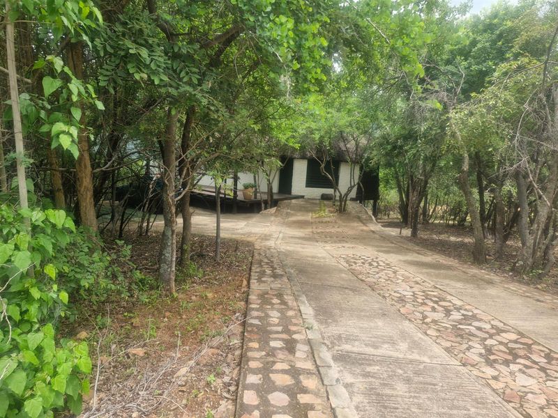 Distinctive Thatch-Home Offering Space - Photo 4