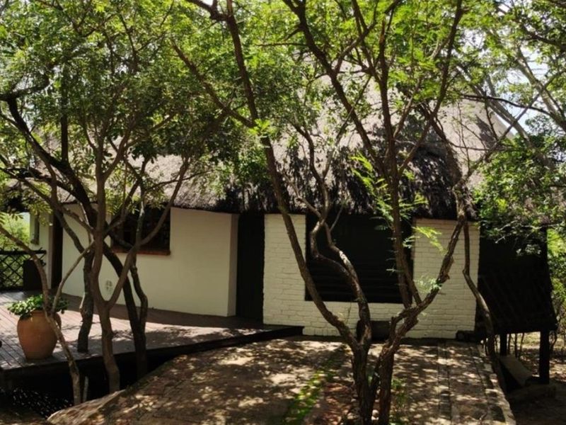 Distinctive Thatch-Home Offering Space - Photo 2